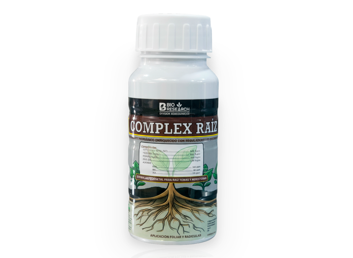 COMPLEX RAIZ