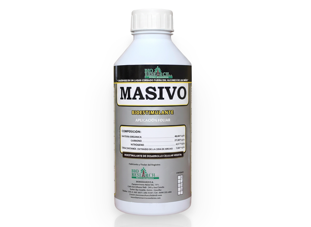 MASIVO