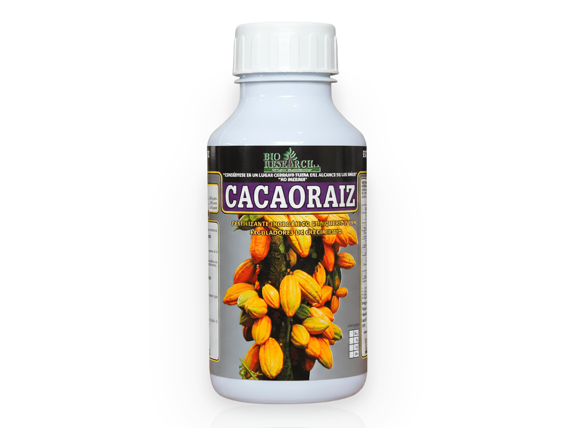Cacao Raiz