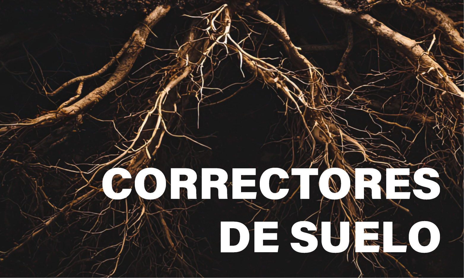 correctores de suelo