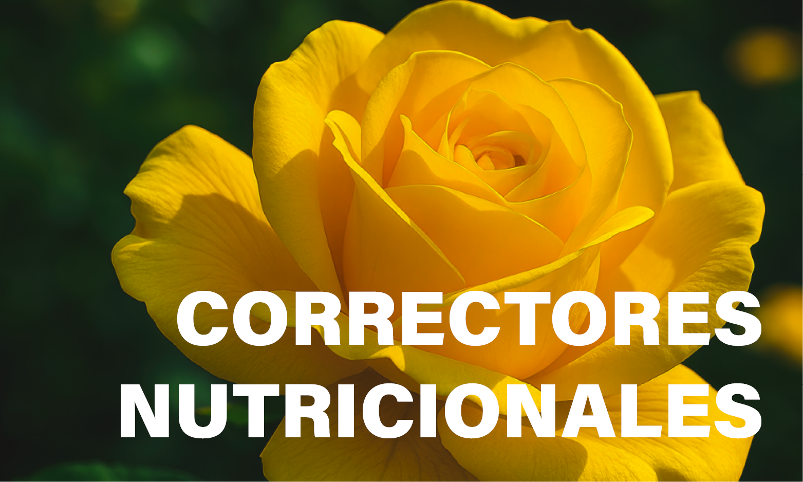 correctores nutricionales