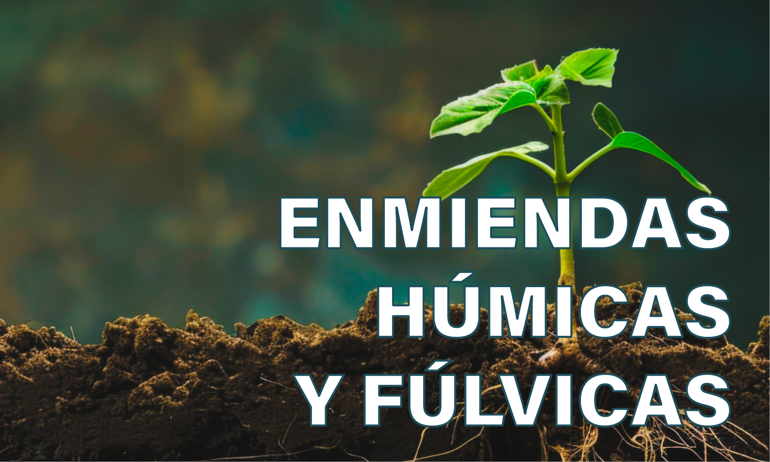 enmiendas humicas y fulicas1111