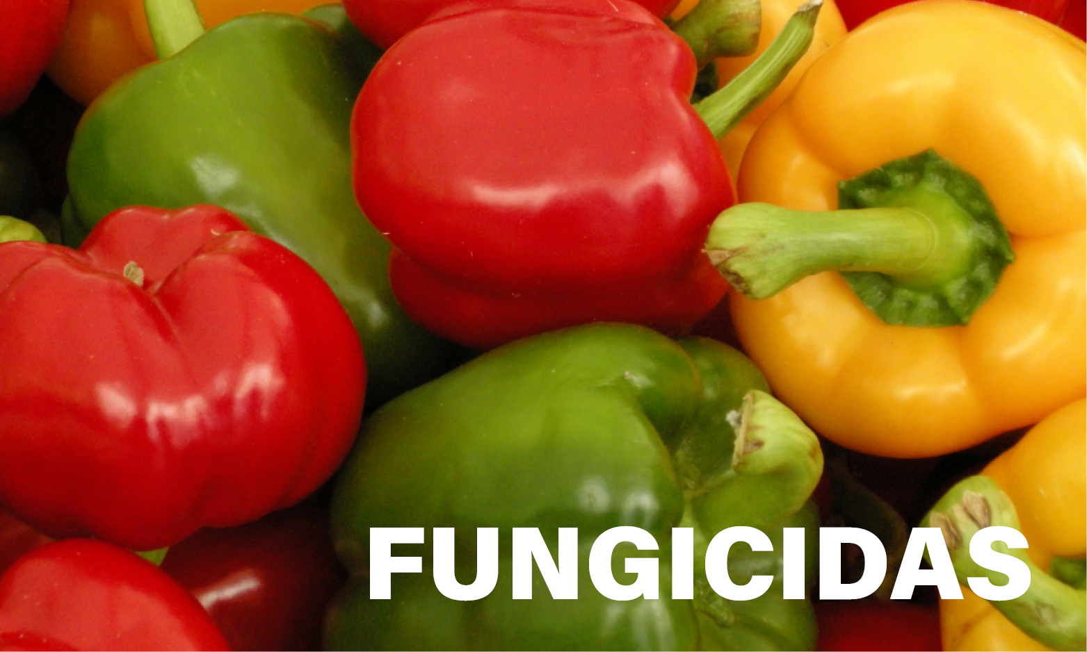 fungicidas