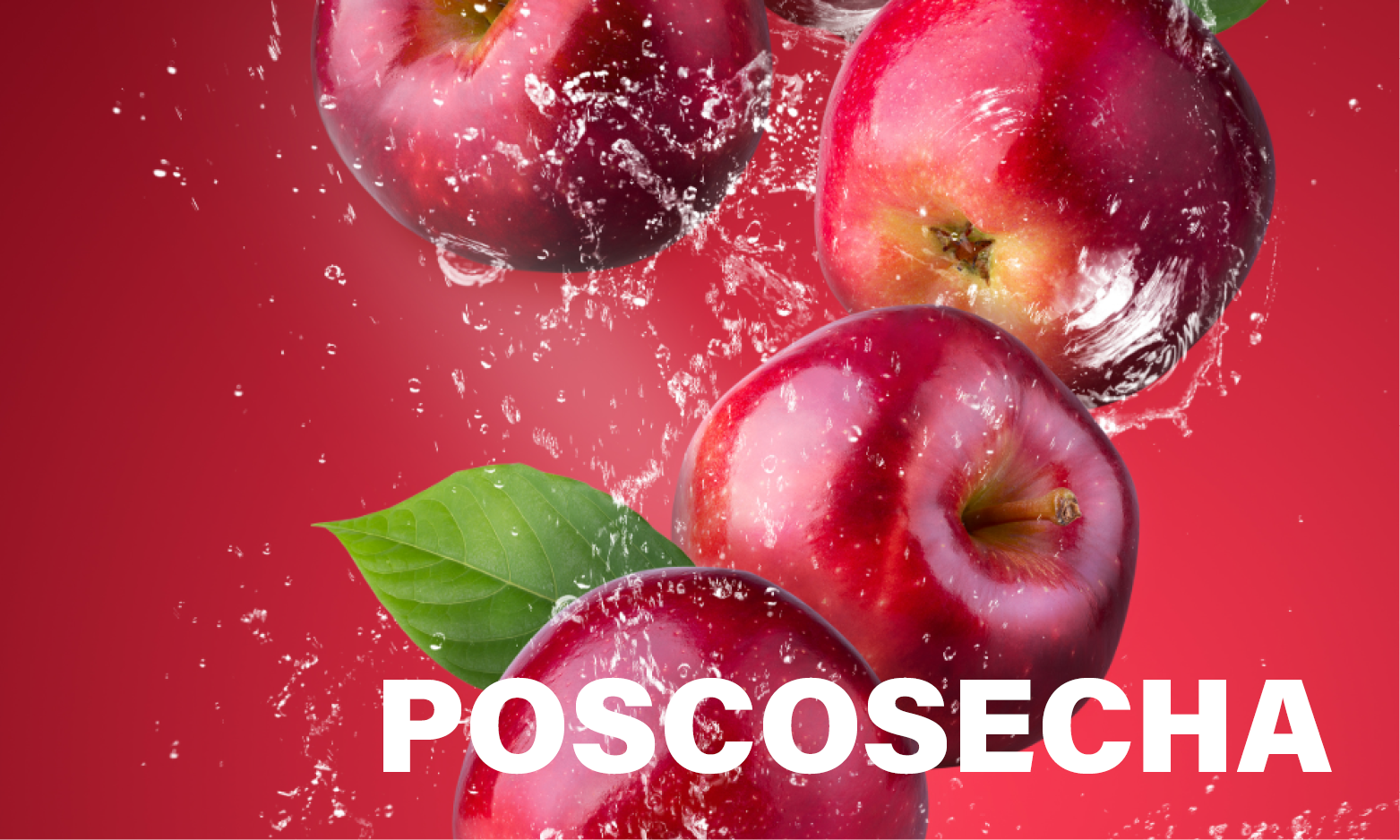 poscosecha